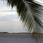 Bang Saray Pattaya
