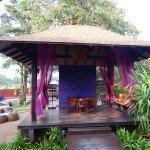 Rimpa Lapin Pattaya Thailand