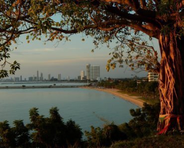 Thailand spirit trees