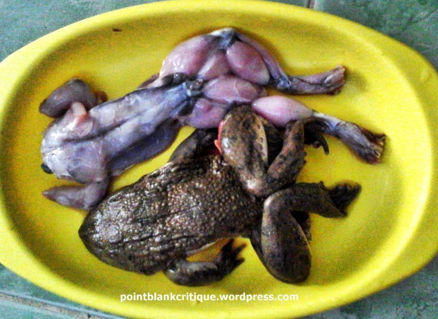 Thai Food Frogs