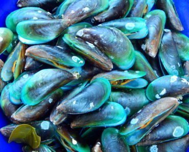 Pattaya baech seafood