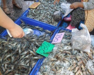 Thai Seafood Ang Sila
