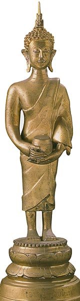 pathomchedi31