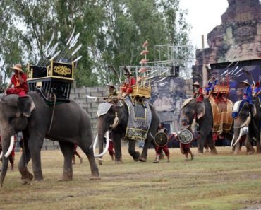 Thailand Surin Elephant Roundup