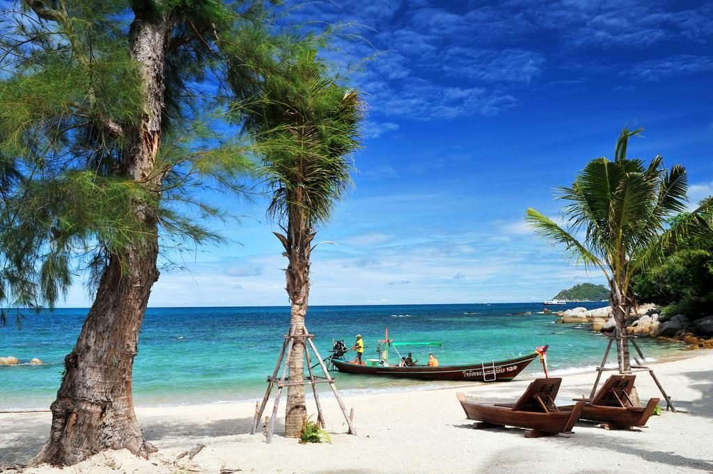 Koh Tao Island The Turtle Island Located In The Gulf Of - 